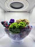 Mystery Crochet Scrunchie Set of 3